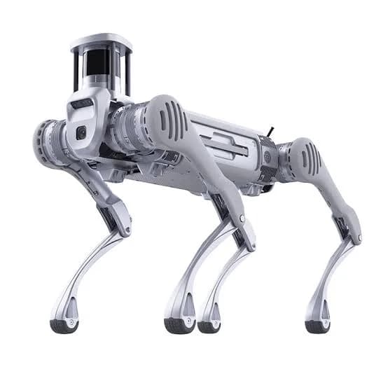 Unitree Robotics B2