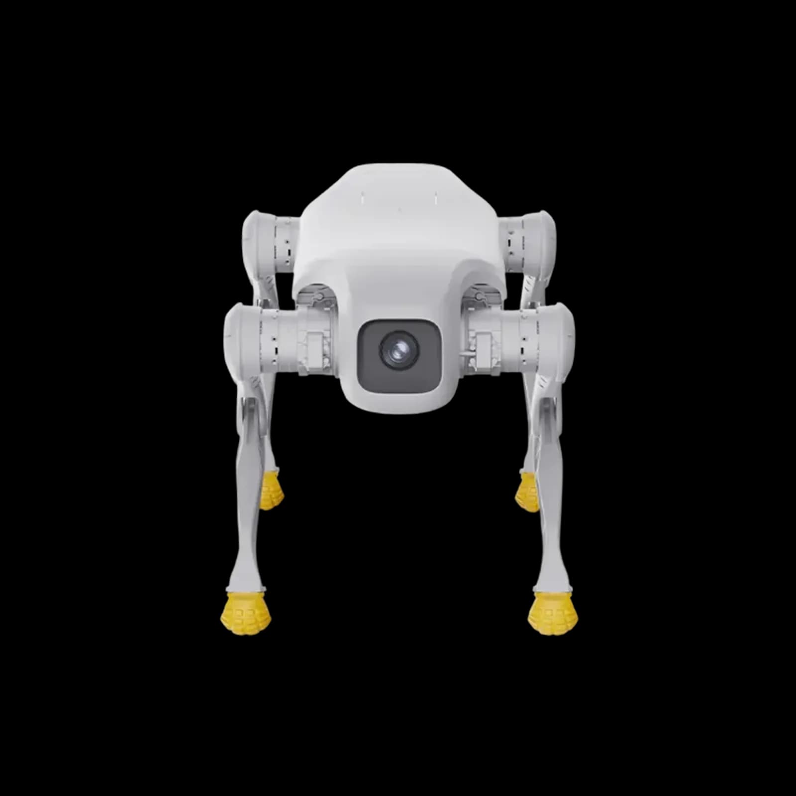 AgiBot D1 Edu